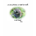 Baby Bird Inspirational Nature Photo T Shirt