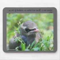 Baby Bird Nature Photo Inspirational Mousepad