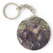 Baby Birds 1 Key Chains