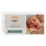 Baby Bird's Nest Baby Announcement - Chevron Custom Photo Card