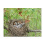 Baby Birds