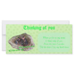 Baby Birds rack cards
