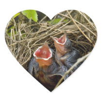Baby Birds Stickers