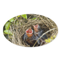 Baby Birds Stickers