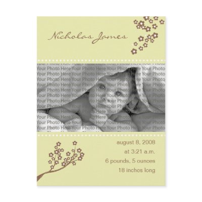 Baby Birth Announcement Khaki Branch Design by BeezKneez