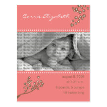 Baby Birth Announcement Pink Branch Design Post Cards