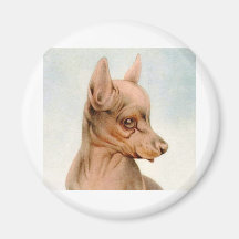 Baby Black & Tan Terrier - SUPER CUTE ! Refrigerator Magnets