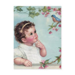 Baby Blue Bird postcards