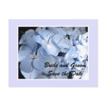 Baby Blue Hydrangea Save the Date