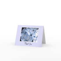 Baby Blue Hydrangea Thank You