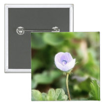 Baby Blue Speedwell Pinback Buttons