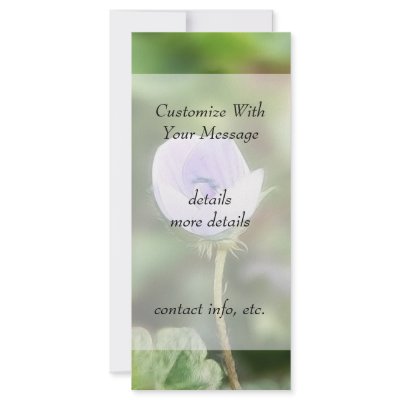 Baby Blue Speedwell Personalized Rack Card by Pretty_World