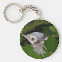 Baby BlueJay Keychain
