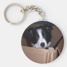 Baby Border Collie Key Chain