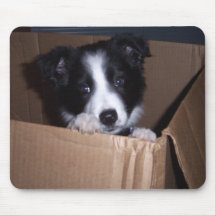 Baby Border Collie Mouse Pads