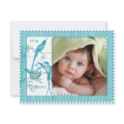 Baby Boy Aqua Vintage Birds Picture Announcement by samack