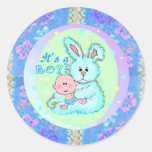 Baby Boy birth announcement stickers.
