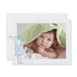 Baby Boy Blue Dots Stork Baby Picture Announcement