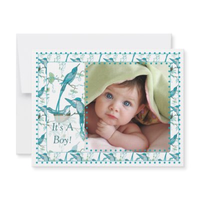 Baby Boy Vintage Baby Bird Picture Announcement by samack