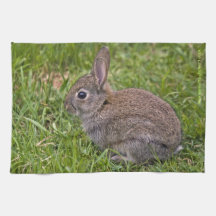 Baby Bunny Kitchen Towel