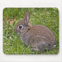 Baby Bunny Mousemat Mousepads