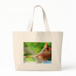 baby cardinal canvas bag