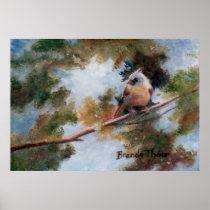 Baby Cardinal Poster Print