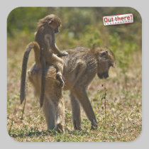 Baby care stickers