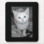 Baby cat mousepad
