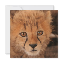 Baby Cheetah Invitation
