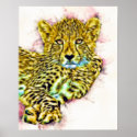 Baby Cheetah posters