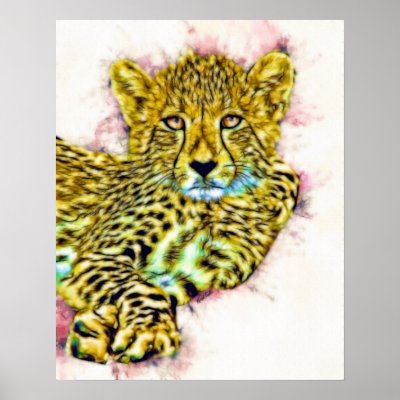 Baby Cheetah Poster by nextstopitaly