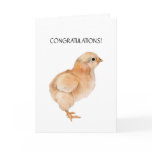 Baby Chick Card