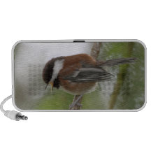 Baby Chickadee Photo iPod Speaker