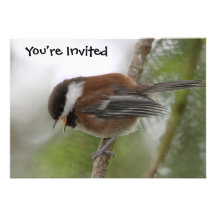 Baby Chickadee Photo Personalized Invitations