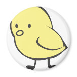 Baby Chicken