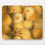 Baby chicks mouse pads