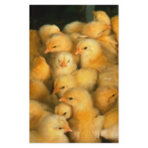 Baby chicks personalized stationery