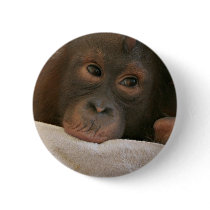 Baby Chimp Round Button