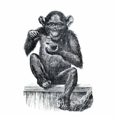 Baby chimpanzee monkey vintage drawing acrylic cut out by SusansZooCrew
