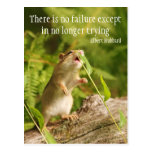 Baby Chipmunk Try Quote Postcard
