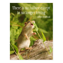 Baby Chipmunk Try Quote Postcard
