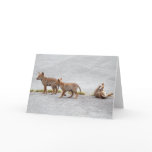 Baby Coyotes Playing Greeting Card