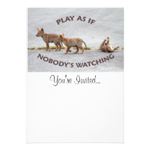 Baby Coyotes Playing Personalized Announcement