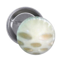 Baby Creature Pinback Button