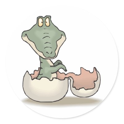 Baby Crocodile Round Stickers by animalworld