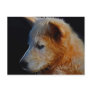 Baby  Cub Post Cards