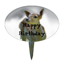 Baby deer's curiosity cake picks