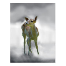 Baby deer's curiosity post card