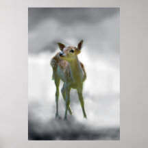 Baby deer's curiosity posters